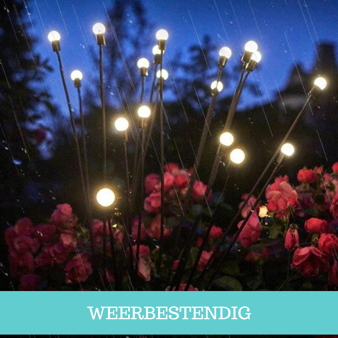 Loliva's - FloraLights® - Magische vuurvliegjes tuinverlichting (6 LED's)!